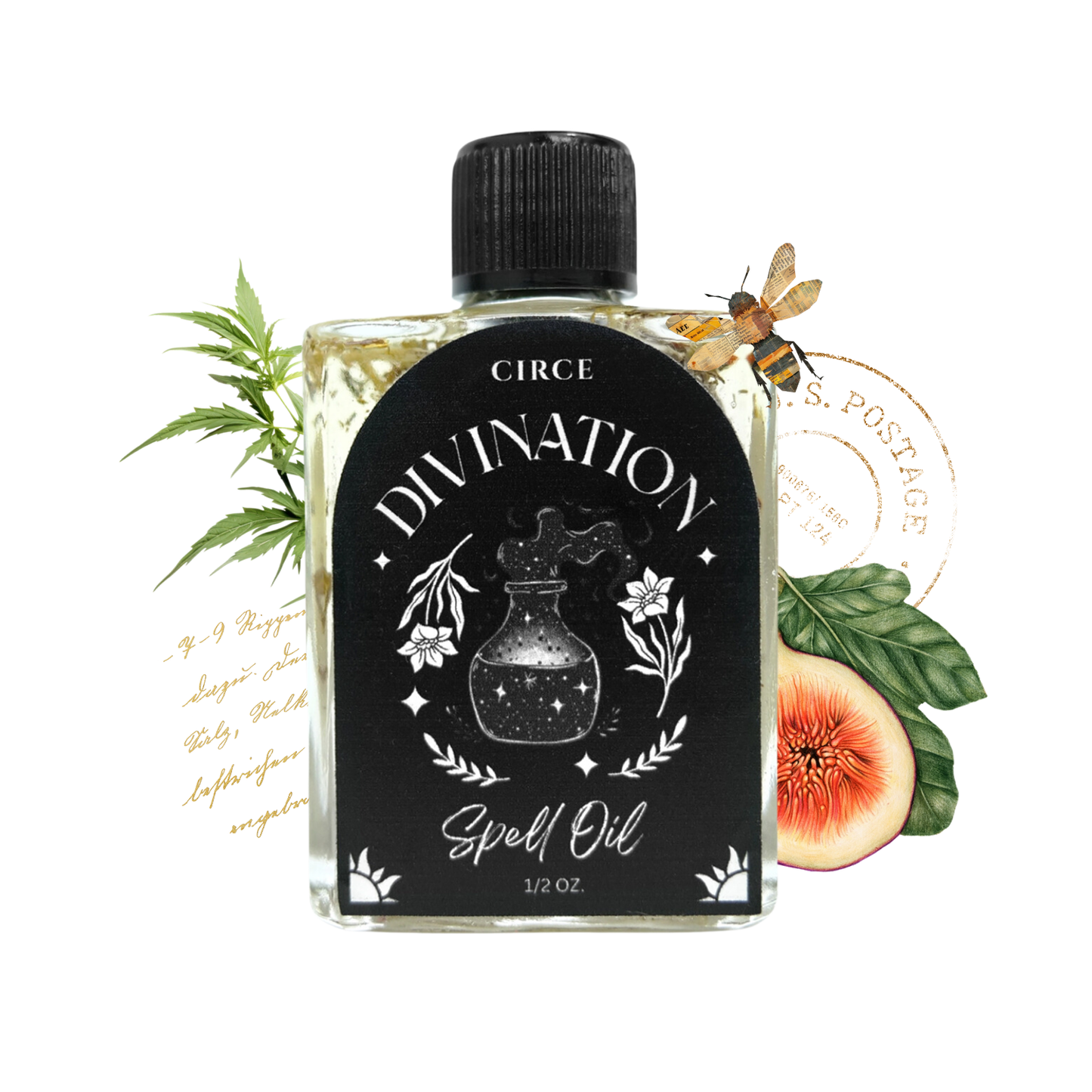 Divination | Spell Oil 1/2 oz