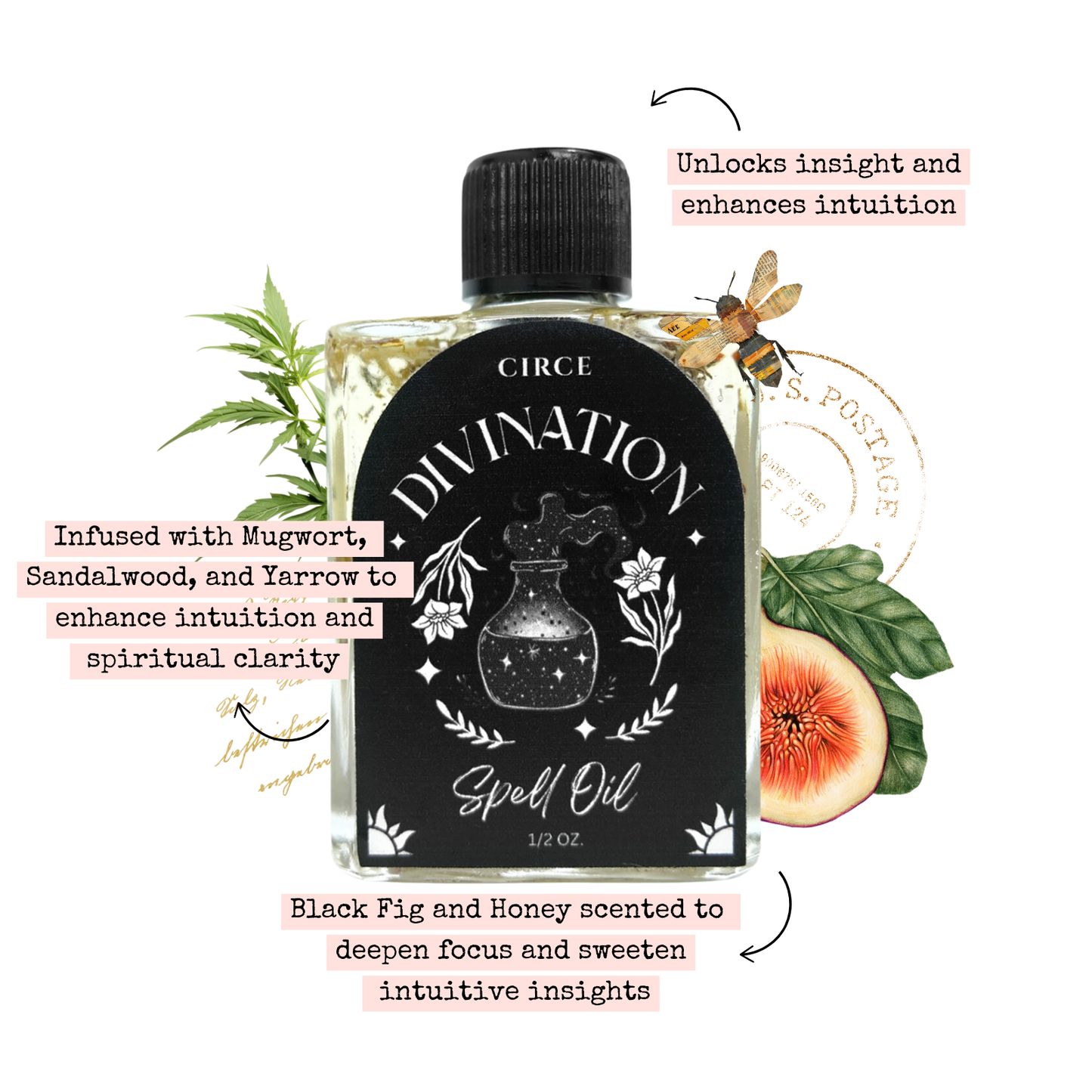 Divination | Spell Oil 1/2 oz