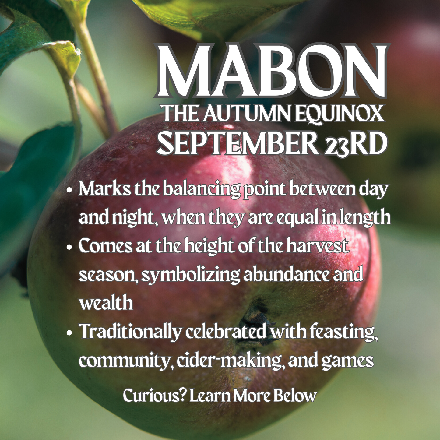 Mabon Soy Wax Candle - McIntosh Apple, Granny Smith, Apple Pie & Harvest Spices