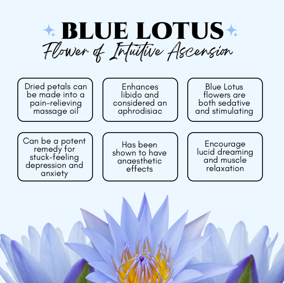 Blue Lotus Ritual Body Oil - Hair, Face, Nail and Body Oil