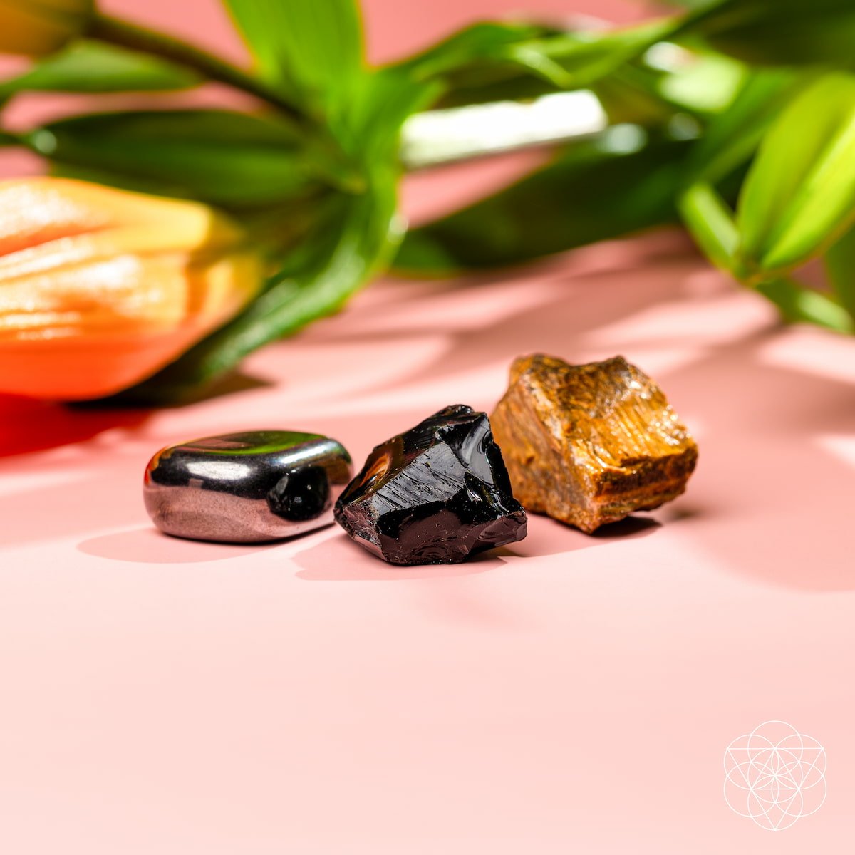 The Triple Protection Trio